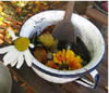 Bees, Bugs & Mud Pies